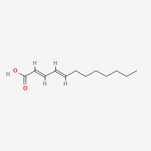 molecular formula C12H20O2 B13852156 (2E,4E)-dodeca-2,4-dienoic acid 