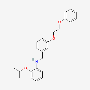 molecular formula C24H27NO3 B1385227 2-Isopropoxy-N-[3-(2-phenoxyethoxy)benzyl]aniline CAS No. 1040683-50-8