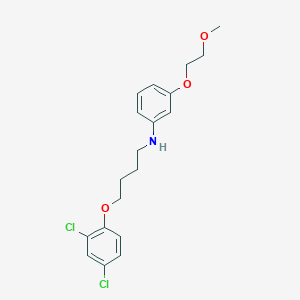 N-[4-(2,4-Dichlorophenoxy)butyl]-3-(2-methoxyethoxy)aniline