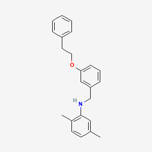 molecular formula C23H25NO B1385241 2,5-Dimethyl-N-[3-(phenethyloxy)benzyl]aniline CAS No. 1040687-88-4