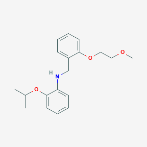 molecular formula C19H25NO3 B1385256 2-Isopropoxy-N-[2-(2-methoxyethoxy)benzyl]aniline CAS No. 1040683-64-4