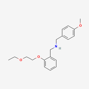 molecular formula C19H25NO3 B1385291 [2-(2-Ethoxyethoxy)phenyl]-N-(4-methoxybenzyl)-methanamine CAS No. 1040686-53-0