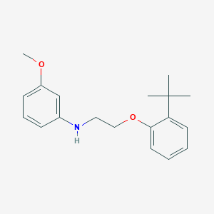 molecular formula C19H25NO2 B1385306 N-{2-[2-(叔丁基)苯氧基]乙基}-3-甲氧基苯胺 CAS No. 1040691-20-0