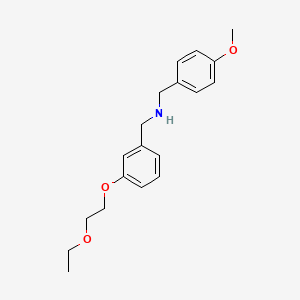 molecular formula C19H25NO3 B1385314 N-[3-(2-乙氧基乙氧基)苄基](4-甲氧基苯基)-甲胺 CAS No. 1040686-59-6