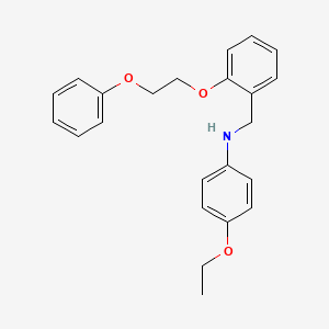 molecular formula C23H25NO3 B1385324 4-Ethoxy-N-[2-(2-phenoxyethoxy)benzyl]aniline CAS No. 1040687-14-6