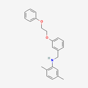 molecular formula C23H25NO2 B1385330 2,5-Dimethyl-N-[3-(2-phenoxyethoxy)benzyl]aniline CAS No. 1040687-78-2