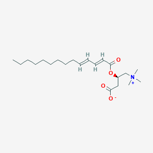 Tetradeca-2,4-dien-oyl Carnitine