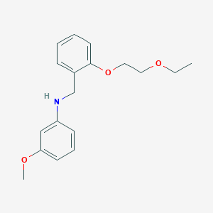 molecular formula C18H23NO3 B1385334 N-[2-(2-Ethoxyethoxy)benzyl]-3-methoxyaniline CAS No. 1040691-28-8