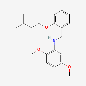 molecular formula C20H27NO3 B1385361 N-[2-(イソペンチルオキシ)ベンジル]-2,5-ジメトキシアニリン CAS No. 1040688-57-0