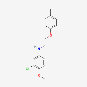 molecular formula C16H18ClNO2 B1385375 3-氯-4-甲氧基-N-[2-(4-甲基苯氧基)乙基]-苯胺 CAS No. 1040685-55-9