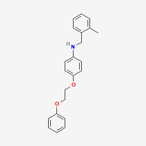 molecular formula C22H23NO2 B1385380 N-(2-甲基苄基)-4-(2-苯氧基乙氧基)苯胺 CAS No. 1040690-82-1