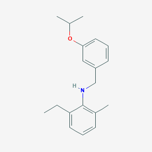 molecular formula C19H25NO B1385392 2-乙基-N-(3-异丙氧基苄基)-6-甲基苯胺 CAS No. 1040684-65-8