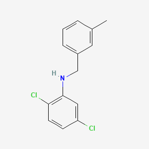 molecular formula C14H13Cl2N B1385403 2,5-Dichloro-N-(3-methylbenzyl)aniline CAS No. 1040084-20-5