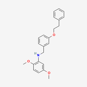 molecular formula C23H25NO3 B1385405 2,5-Dimethoxy-N-[3-(phenethyloxy)benzyl]aniline CAS No. 1040688-63-8