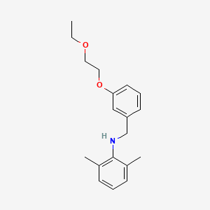 molecular formula C19H25NO2 B1385406 N-[3-(2-エトキシエトキシ)ベンジル]-2,6-ジメチルアニリン CAS No. 1040686-66-5