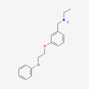 molecular formula C17H21NO2 B1385415 N-[3-(2-Phenoxyethoxy)benzyl]-1-ethanamine CAS No. 1040686-33-6