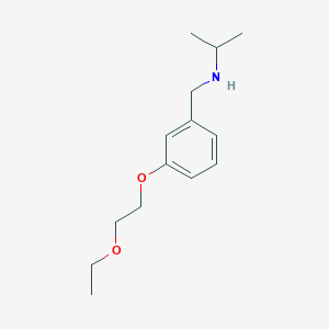 molecular formula C14H23NO2 B1385421 N-[3-(2-Ethoxyethoxy)benzyl]-2-propanamine CAS No. 1040683-46-2