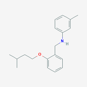 molecular formula C19H25NO B1385424 N-[2-(Isopentyloxy)benzyl]-3-methylaniline CAS No. 1040684-35-2