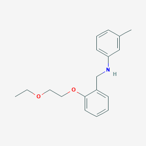 molecular formula C18H23NO2 B1385425 N-[2-(2-Ethoxyethoxy)benzyl]-3-methylaniline CAS No. 1040685-30-0