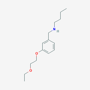 N-[3-(2-Ethoxyethoxy)benzyl]-1-butanamine