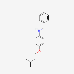 molecular formula C19H25NO B1385434 4-(异戊氧基)-N-(4-甲基苄基)苯胺 CAS No. 1040688-92-3