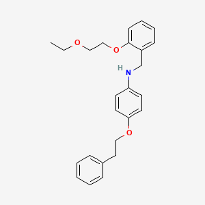 N-[2-(2-Ethoxyethoxy)benzyl]-4-(phenethyloxy)aniline