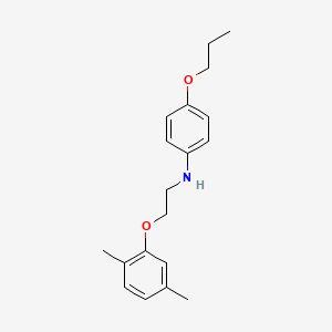 molecular formula C19H25NO2 B1385479 N-[2-(2,5-Dimethylphenoxy)ethyl]-4-propoxyaniline CAS No. 1040688-91-2