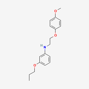 N-[2-(4-Methoxyphenoxy)ethyl]-3-propoxyaniline