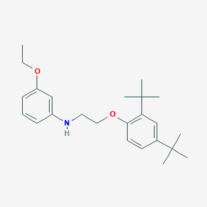 molecular formula C24H35NO2 B1385483 N-{2-[2,4-二(叔丁基)苯氧基]乙基}-3-乙氧基苯胺 CAS No. 1040685-69-5