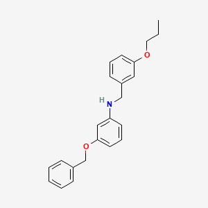 molecular formula C23H25NO2 B1385488 3-(Benzyloxy)-N-(3-propoxybenzyl)aniline CAS No. 1040688-86-5