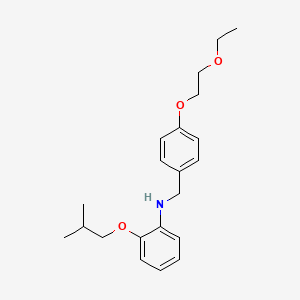 molecular formula C21H29NO3 B1385499 N-[4-(2-Ethoxyethoxy)benzyl]-2-isobutoxyaniline CAS No. 1040694-73-2