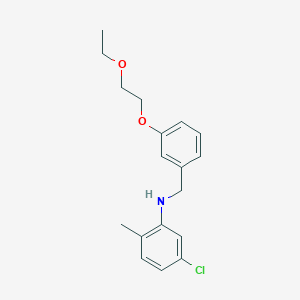 molecular formula C18H22ClNO2 B1385502 5-Chloro-N-[3-(2-ethoxyethoxy)benzyl]-2-methylaniline CAS No. 1040685-37-7