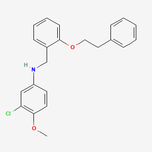 molecular formula C22H22ClNO2 B1385504 3-氯-4-甲氧基-N-[2-(苯乙氧基)苄基]-苯胺 CAS No. 1040685-93-5