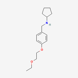 molecular formula C16H25NO2 B1385509 N-[4-(2-Ethoxyethoxy)benzyl]cyclopentanamine CAS No. 1040686-92-7