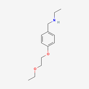 molecular formula C13H21NO2 B1385514 N-[4-(2-Ethoxyethoxy)benzyl]-1-ethanamine CAS No. 1040686-44-9