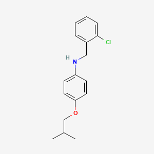 molecular formula C17H20ClNO B1385516 N-(2-Chlorobenzyl)-4-isobutoxyaniline CAS No. 1040687-82-8