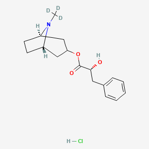 (R)-(-)-Littorine-D3 Hydrochloride