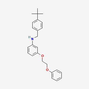 N-[4-(Tert-butyl)benzyl]-3-(2-phenoxyethoxy)-aniline