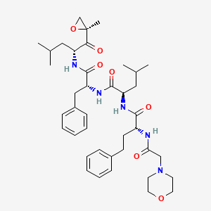 molecular formula C40H57N5O7 B13855305 (R)-4-Methyl-N-((R)-1-(((R)-4-Methyl-1-((S)-2-Methyloxiran-2-yl)-1-oxopentan-2-yl)aMino)-1-oxo-3-phenylpropan-2-yl)-2-((R)-2-(2-MorpholinoacetaMido)-4-phenylbutanaMido)pentanaMide 