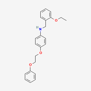 molecular formula C23H25NO3 B1385531 N-(2-Ethoxybenzyl)-4-(2-phenoxyethoxy)aniline CAS No. 1040691-37-9