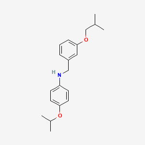 molecular formula C20H27NO2 B1385534 N-(3-Isobutoxybenzyl)-4-isopropoxyaniline CAS No. 1040692-88-3
