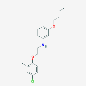N-(3-Butoxyphenyl)-N-[2-(4-chloro-2-methylphenoxy)ethyl]amine