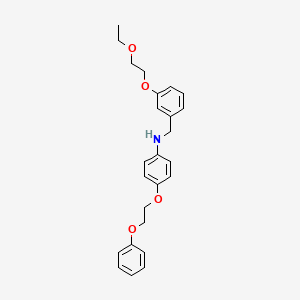 N-[3-(2-Ethoxyethoxy)benzyl]-4-(2-phenoxyethoxy)-aniline