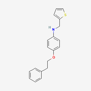 molecular formula C19H19NOS B1385562 4-(Phenethyloxy)-N-(2-thienylmethyl)aniline CAS No. 1040693-88-6