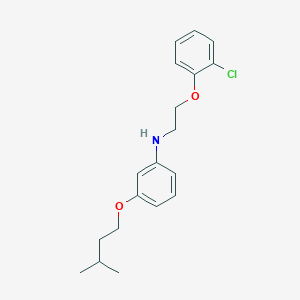 molecular formula C19H24ClNO2 B1385579 N-[2-(2-Chlorophenoxy)ethyl]-3-(isopentyloxy)aniline CAS No. 1040684-43-2