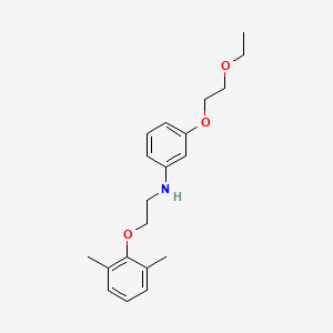 molecular formula C20H27NO3 B1385584 N-[2-(2,6-Dimethylphenoxy)ethyl]-3-(2-ethoxyethoxy)aniline CAS No. 1040691-56-2