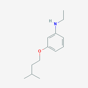 molecular formula C13H21NO B1385589 N-Ethyl-3-(isopentyloxy)aniline CAS No. 1040684-37-4
