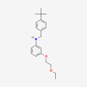 N-[4-(Tert-butyl)benzyl]-3-(2-ethoxyethoxy)aniline