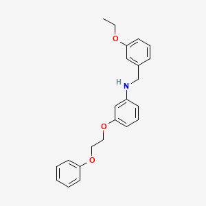 N-(3-Ethoxybenzyl)-3-(2-phenoxyethoxy)aniline