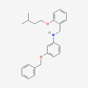 molecular formula C25H29NO2 B1385606 3-(Benzyloxy)-N-[2-(isopentyloxy)benzyl]aniline CAS No. 1040688-72-9